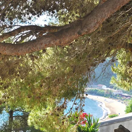 Appartement Takis On A With Private Garden And Sea View *